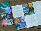 Click for an enlarged view